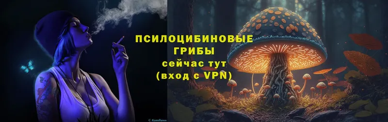 Псилоцибиновые грибы MAGIC MUSHROOMS  Артёмовский 